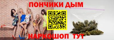 индика Северобайкальск