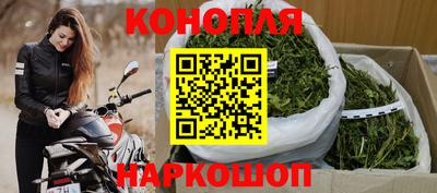 гидра Свободный