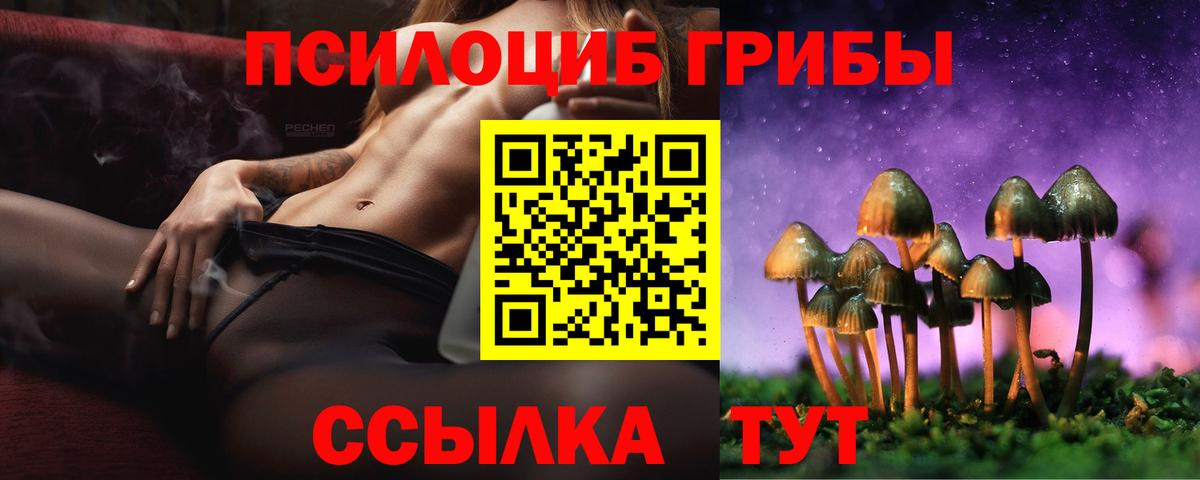 как найти   Галлюциногенные грибы Magic Shrooms  Вход с VPN  Нальчик 